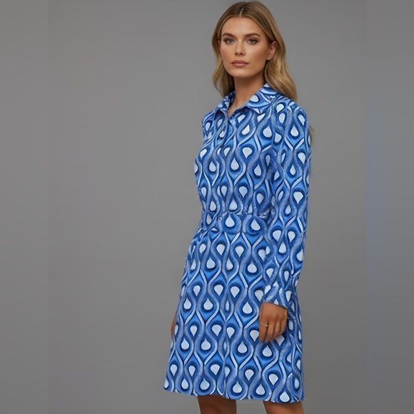 Blue and White Print Shirt Dress - Picture 3 of 9